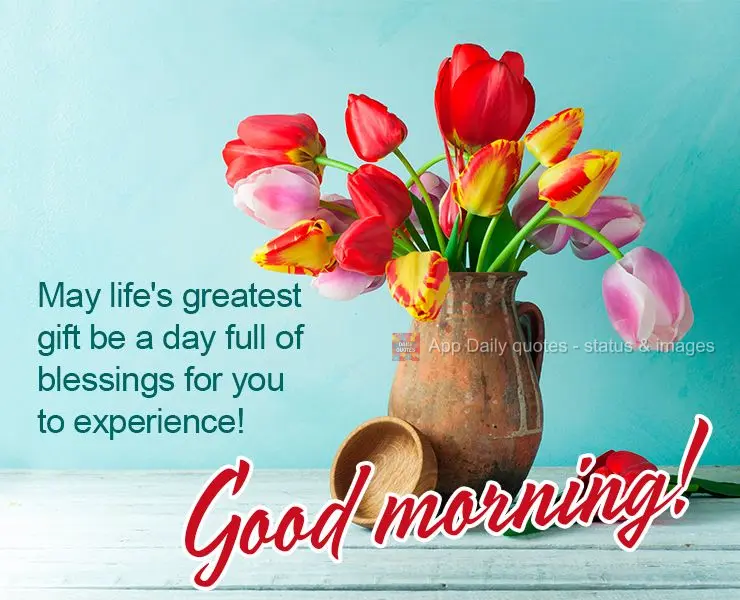 Que o melhor presente da vida seja um grande dia cheio de bênçãos pra você viver! Bom dia!