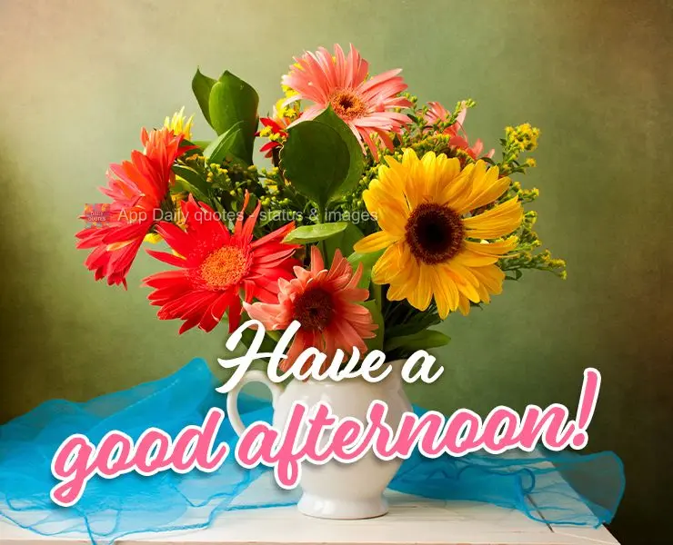 Have a good afternoon!