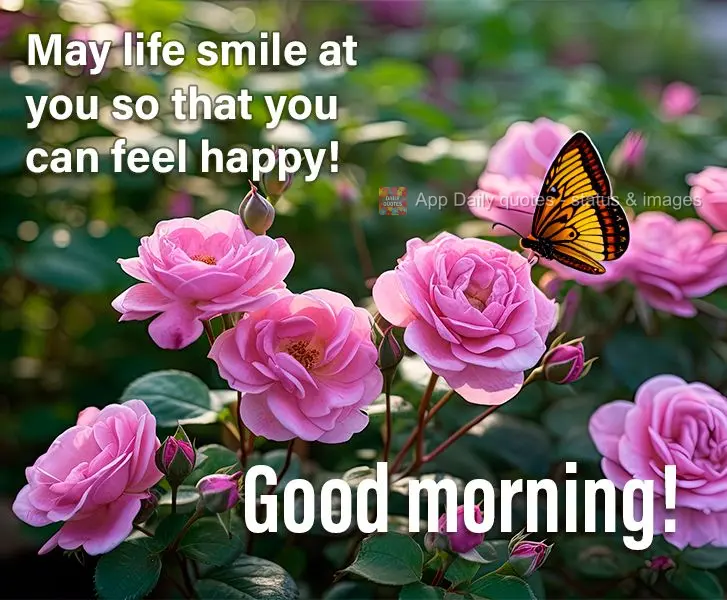 May life smile at you so that you can feel happy! Good morning!