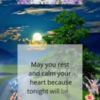 Que possas descansar e tranquilizar seu coração porque essa noite será abençoada! Boa noite!