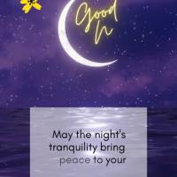 Que a tranquilidade desta noite possa trazer paz para o seu coração e esperança para os seus sonhos! Boa noite!