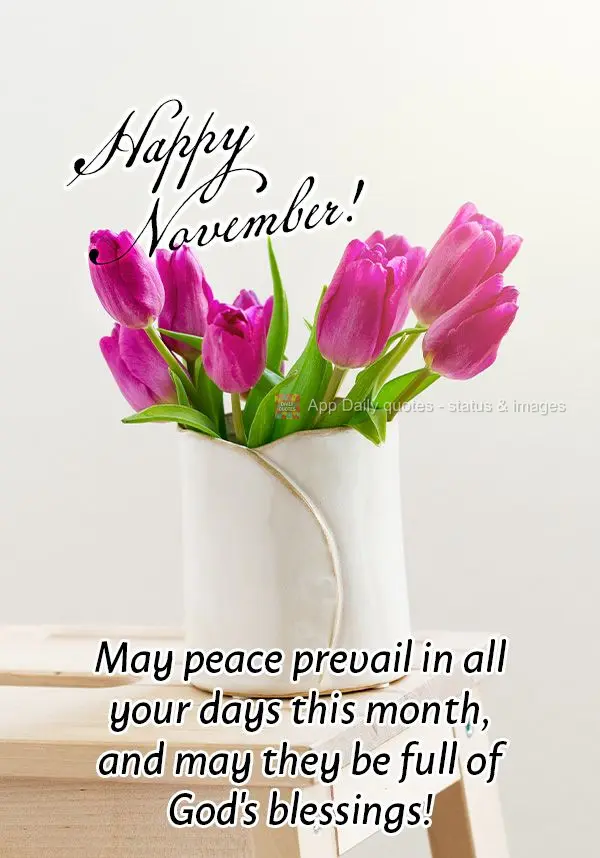 Que neste mês a paz prevaleça em todos os seus dias e que seja contemplado com as bênçãos de Deus! Feliz Novembro!