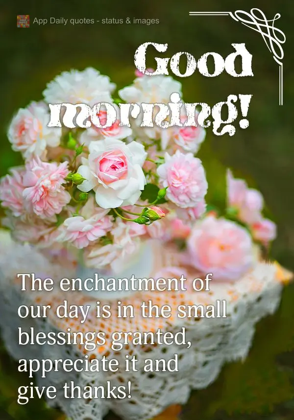The enchantment of our day is in the small blessings granted, appreciate it and give thanks! Good morning!