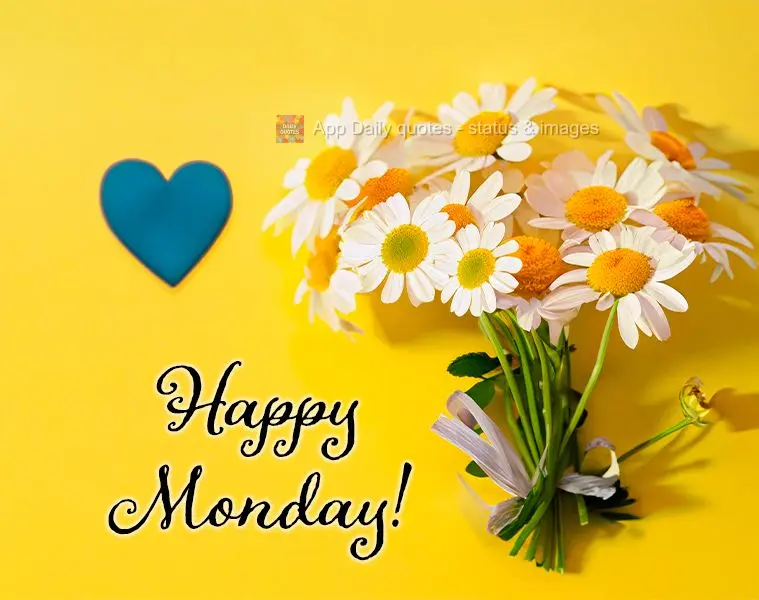 Feliz Segunda-feira!