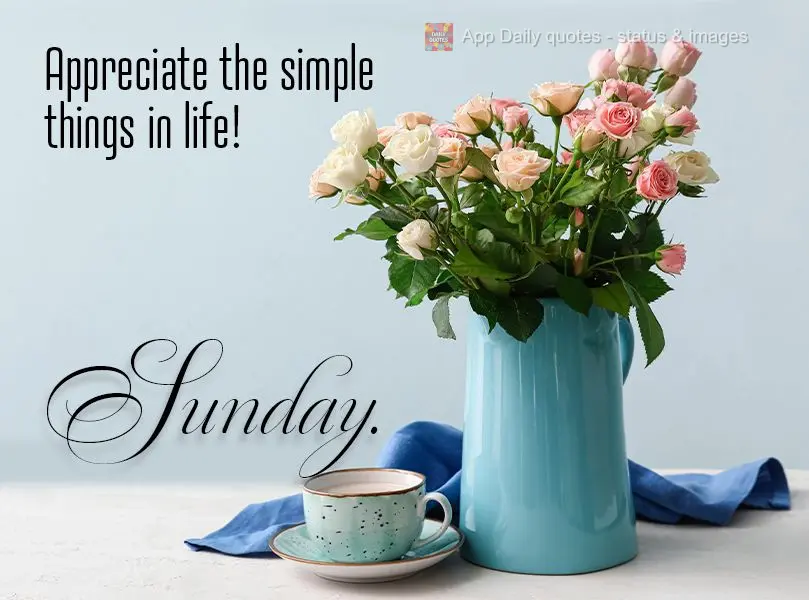 Aprecie as coisas simples da vida! Sábado