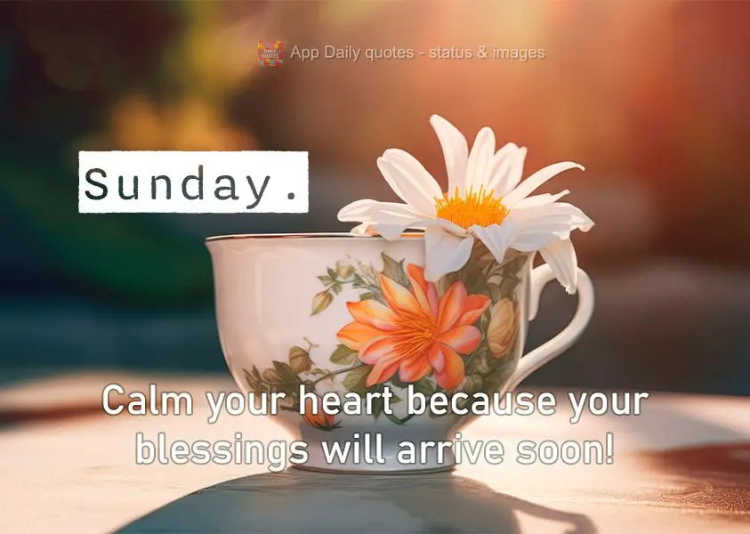 Calm your heart because your blessings will arrive soon! Sunday.