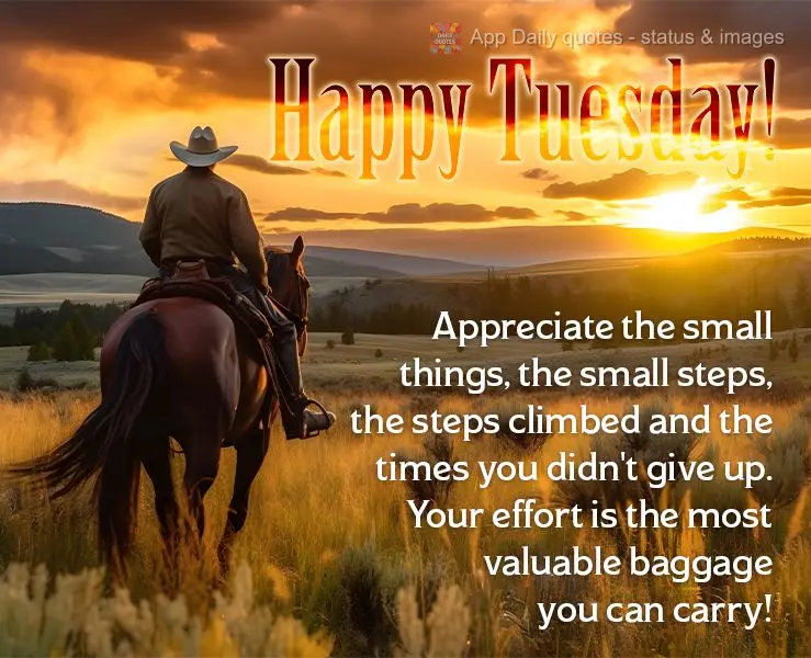 Appreciate the small things, the small steps, the steps climbed and the times you didn't give up. Your effort is the most valuable baggage you can carry!...