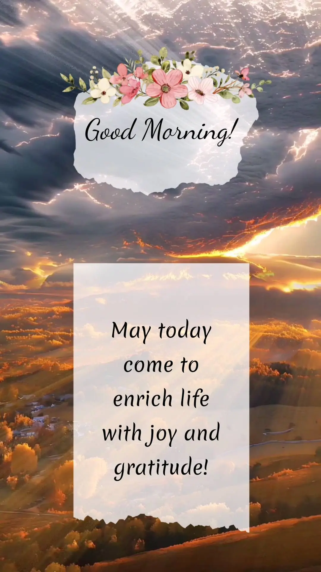 Que o dia de hoje venha para enriquecer a vida de alegria e gratidão! Bom dia!