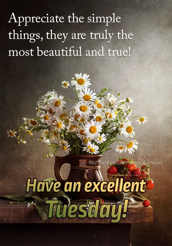 Appreciate the simple things, they are truly the most beautiful and true! Have an excellent Tuesday!
