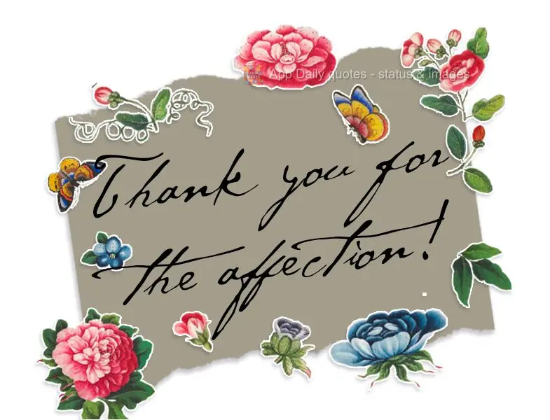 Thank you for the affection!