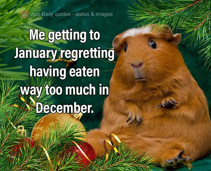 Me getting to January regretting having eaten way too much in December.