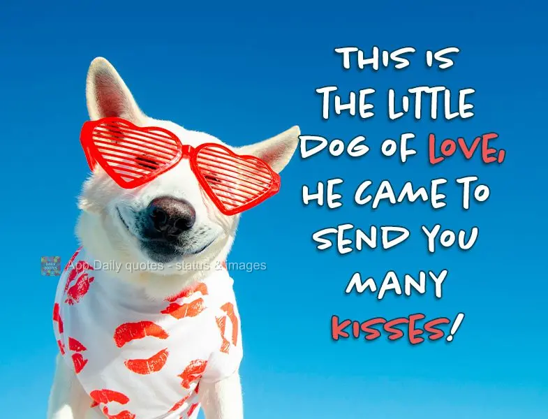 This is the little dog of love, he came to send you many kisses!