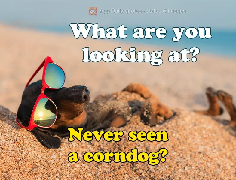 Tá olhando o que? Nunca viu um salsicha empanado?