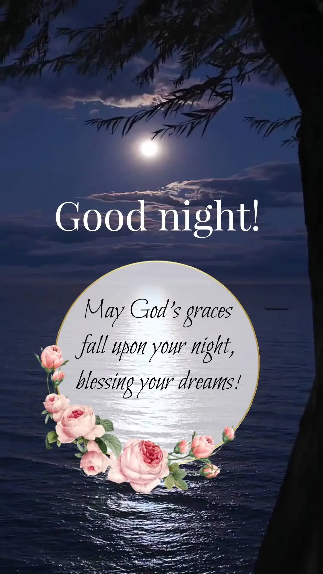 Que as graças de Deus caia sobre sua noite abençoando os seus sonhos!  Boa noite!