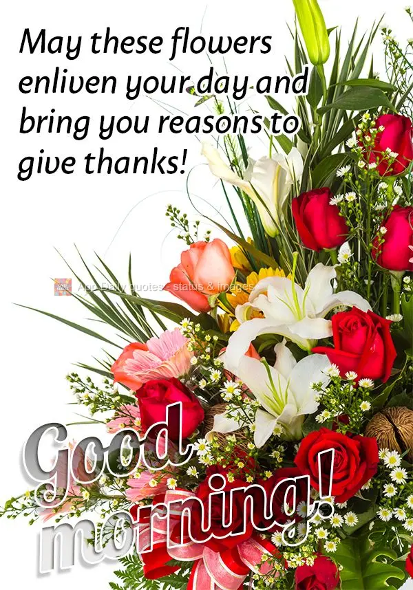 Que essas flores possam alegrar o seu dia e lhe trazer motivos para agradecer! Bom dia!