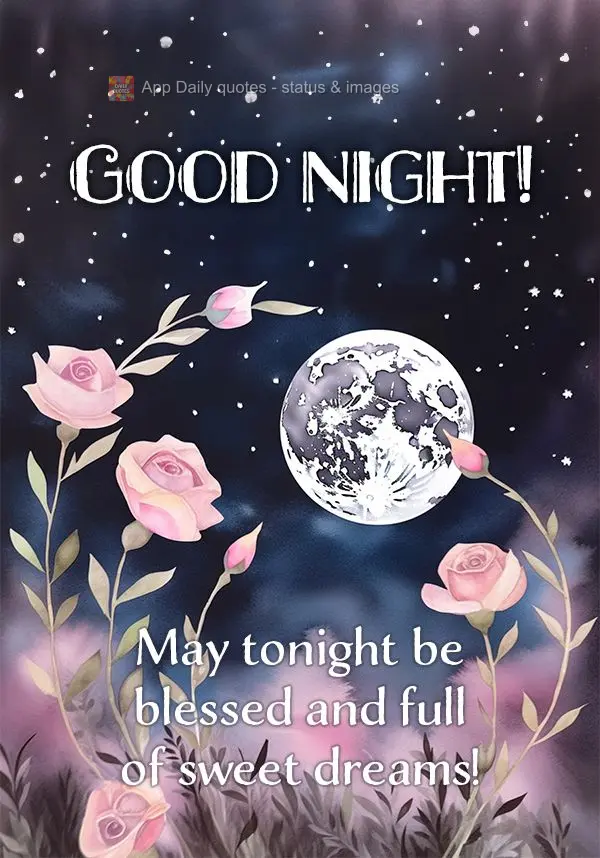 Que seja uma noite abençoada e cheia de lindos sonhos! Boa noite!