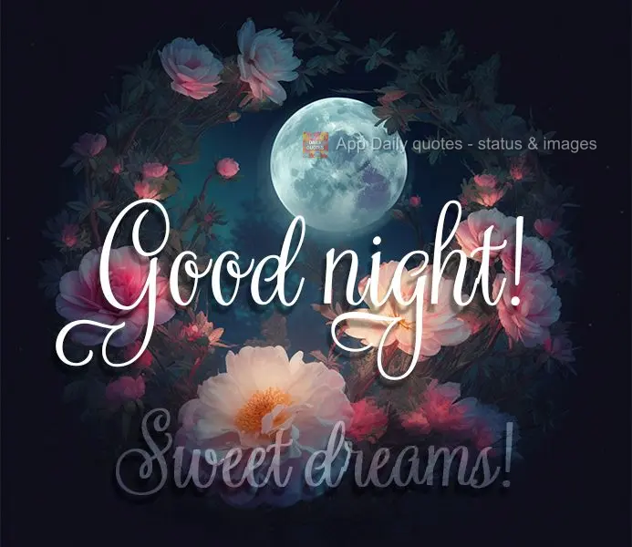 Boa noite! Bom sonhos!