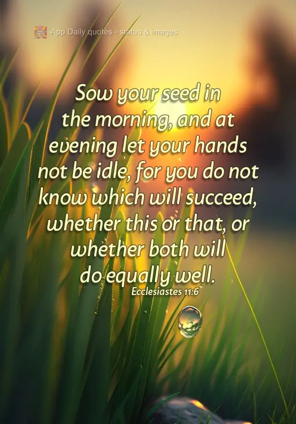 Plante de manhã a sua semente, e mesmo ao entardecer não deixe as suas mãos ficarem à toa, pois você não sabe o que acontecerá, se esta ou aquela ...