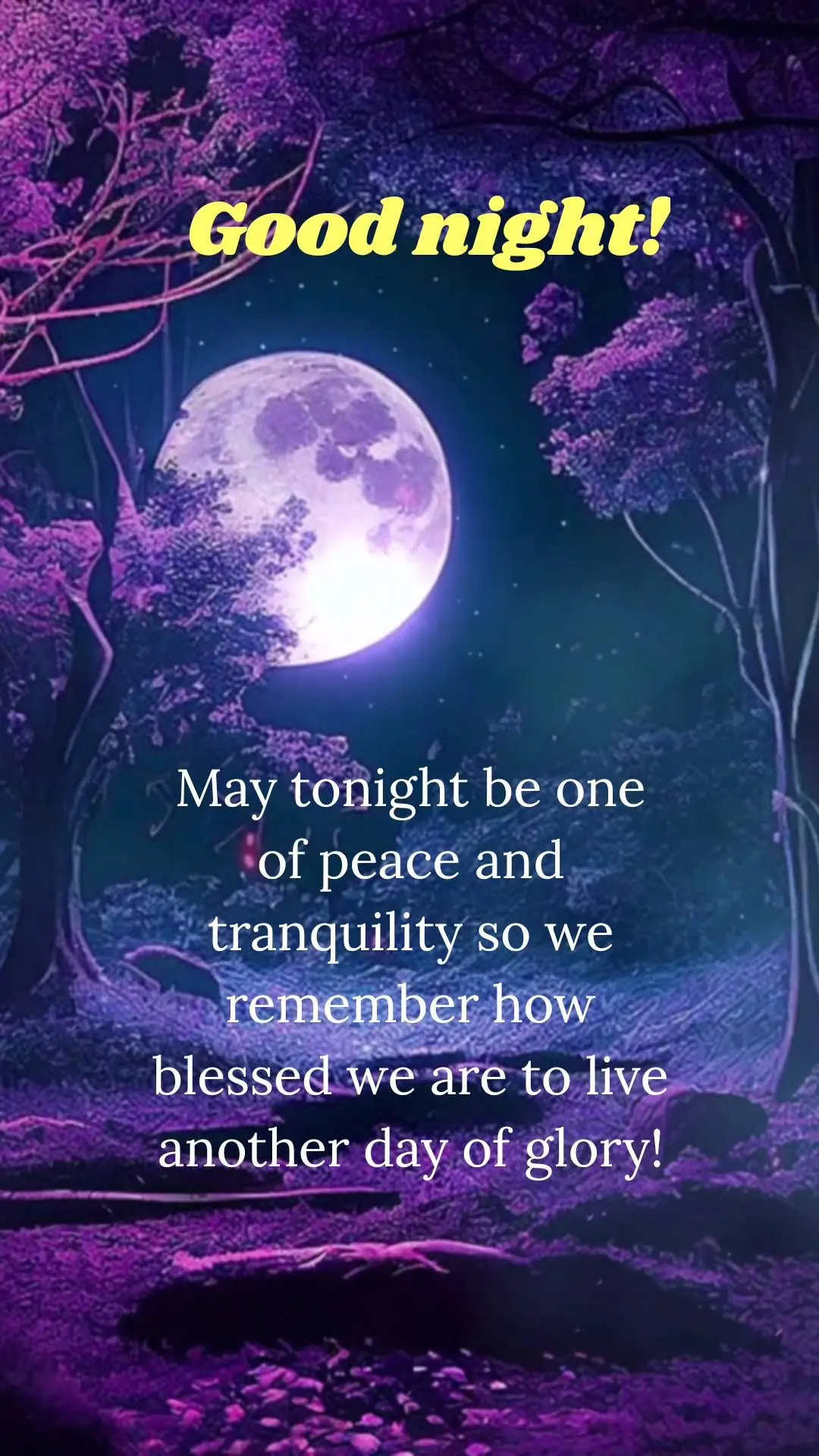 Que seja uma noite de paz e tranquilidade para nos lembrar do quanto somos abençoados por viver mais um dia de glória!  Boa noite!