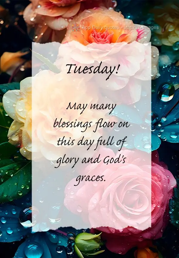 Que seja derramado muitas bênçãos neste dia cheio de glórias e das graças de Deus.  Terça-feira