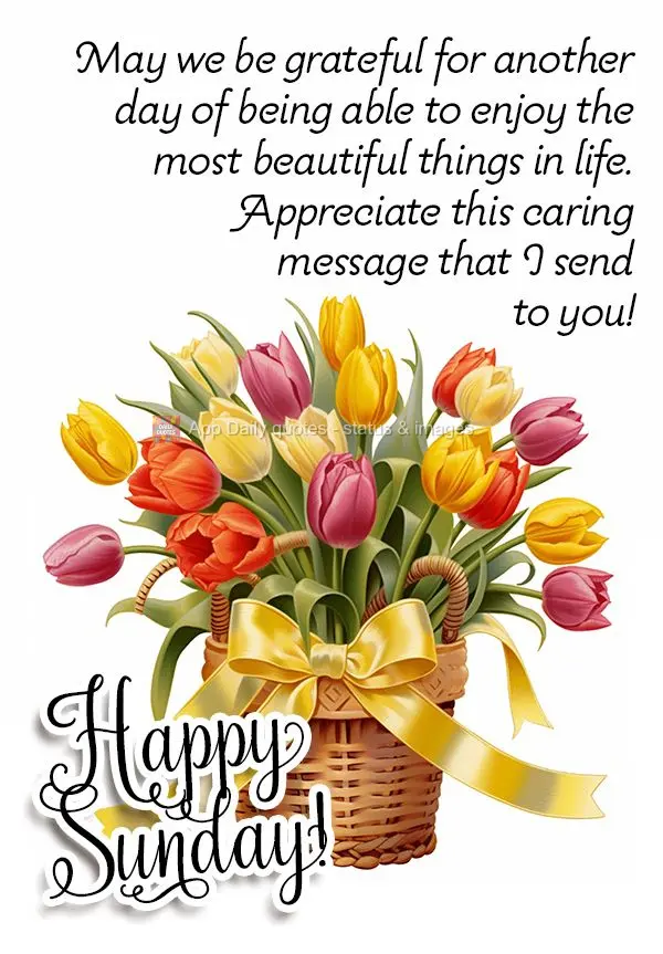 May we be grateful for another day of being able to enjoy the most beautiful things in life. Appreciate this caring message that I send to you! Happy Sun...