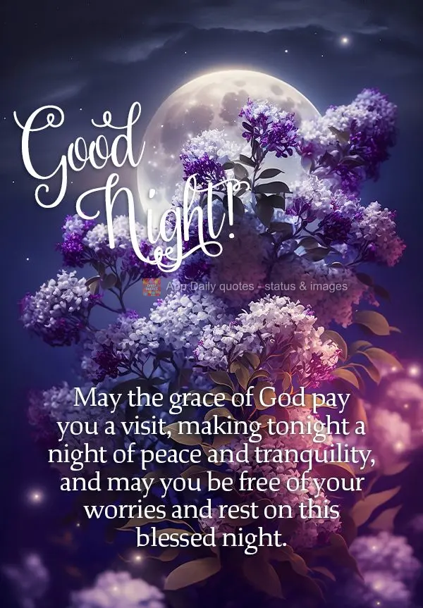 Que a graça de Deus te faça um visita fazendo desta noite, uma noite de paz e tranquilidade, que possa ser ver livre de suas preocupações e descansar...