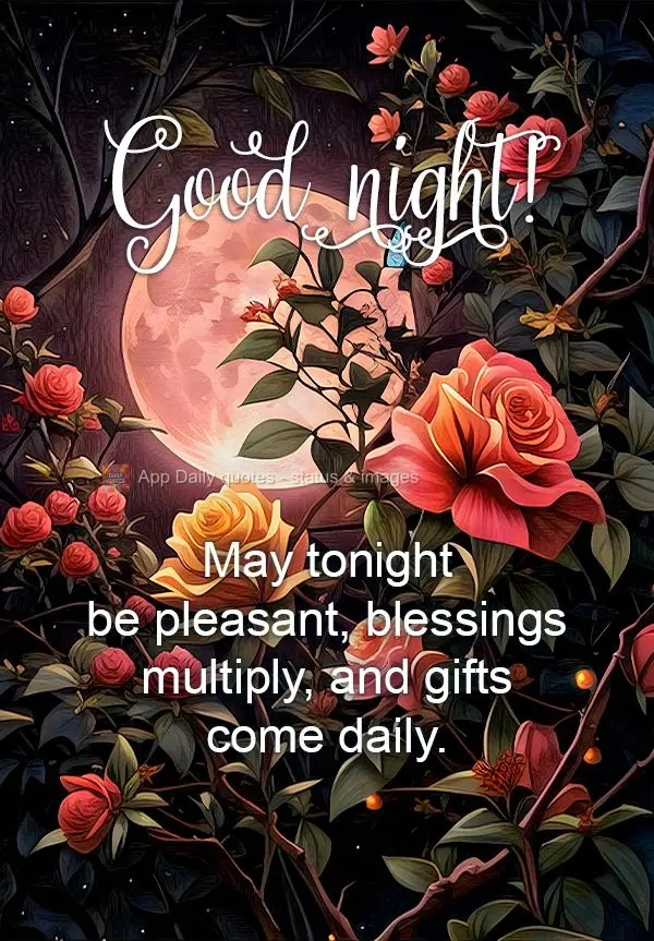 Que seja uma noite agradável, que as bênçãos se multipliquem e as dádivas se tornem diárias. Boa noite! 