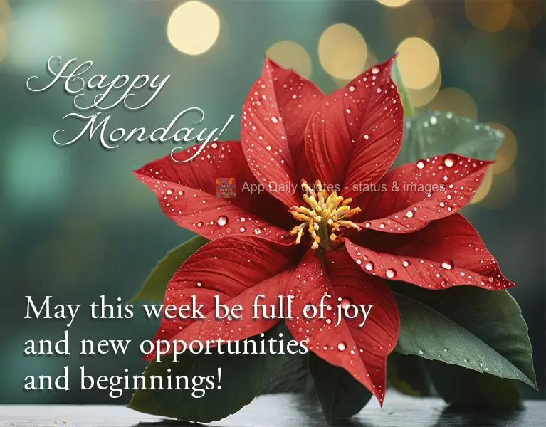 May this week be full of joy and new opportunities and beginnings! Happy Monday!