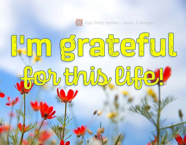 I'm grateful for this life!