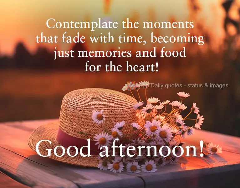 Comtemple os momentos que se apagam com o tempo se tornando apenas memórias e alimento pro coração! Boa tarde!