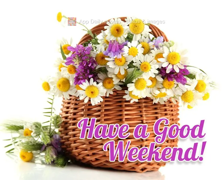 Bom Final de Semana!