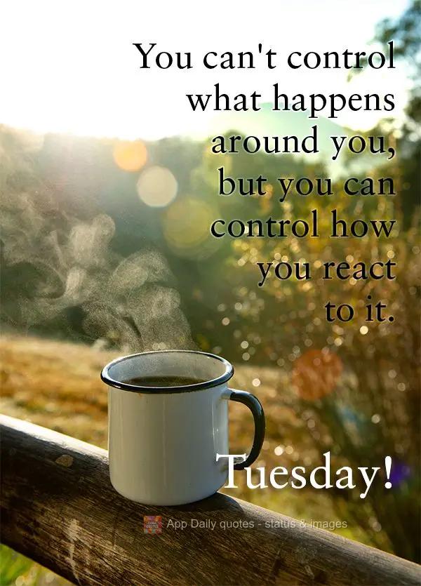 Você não pode controlar o que acontece ao seu redor, mas você pode controlar como você reage a isso. Terça-feira!