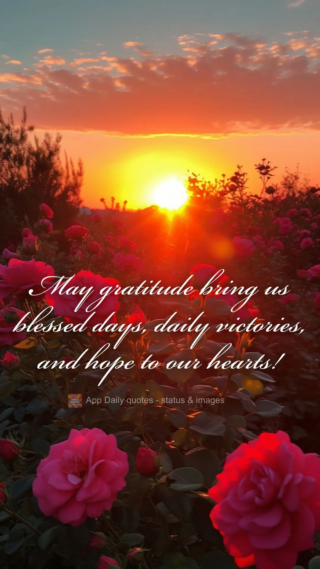 May gratitude bring us blessed days, daily victories, and hope to our hearts!