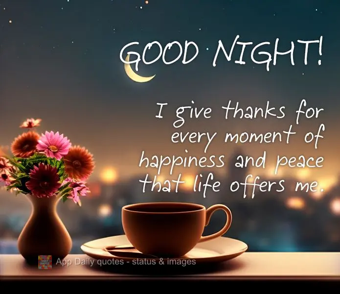 Agradeça por cada momento de felicidade e paz que a vida me oferece. Boa noite!