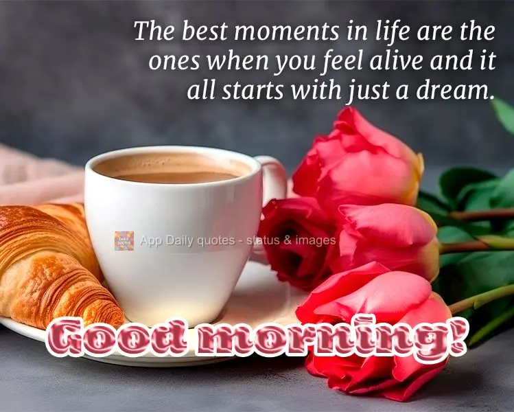 Os melhores momentos da vida são aqueles em que você se sente viver e tudo começa apenas com um sonho. Bom dia!