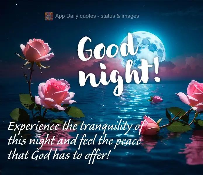 Viva a tranquilidade desta noite e sinta a paz que a Deus tem a oferecer! Boa noite! 