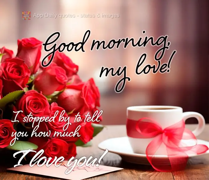 I stopped by to tell you how much I love you! Good morning, my love!