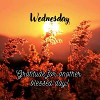 Gratidão por mais este dia de bênção! Quarta-feira