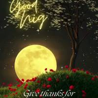 Agradeça por mais uma noite de bênçãos!  Boa noite!