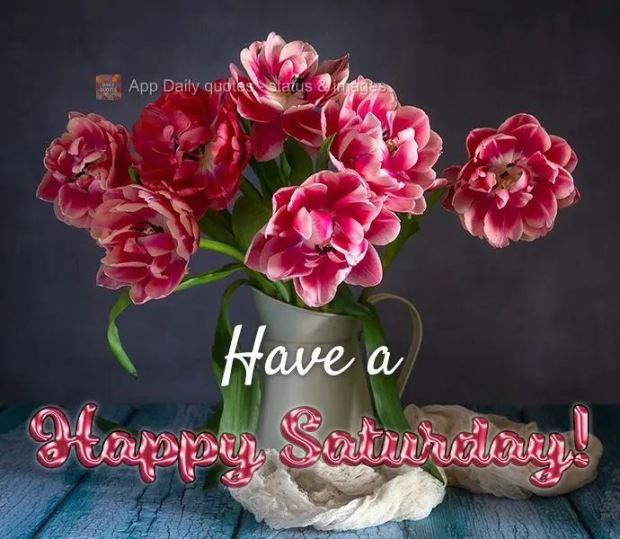 Tenha um Feliz Sábado!