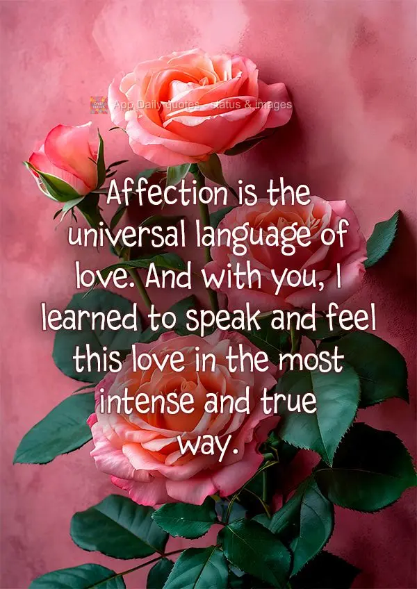 O carinho é a linguagem universal do amor. E com você, eu aprendi a falar e a sentir esse amor de forma plena e verdadeira.