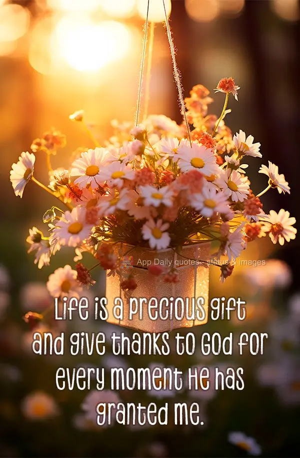 Life is a precious gift and give thanks to God for every moment He has granted me.
