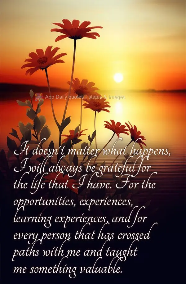 Não importa o que aconteça, sempre serei grato pela vida que tenho. Pelas oportunidades, pelas experiências, pelos aprendizados e por cada pessoa que ...