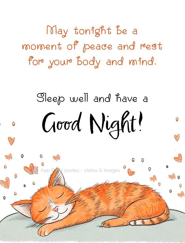 May tonight be a moment of peace and rest for your body and mind. Sleep well and have a good night!