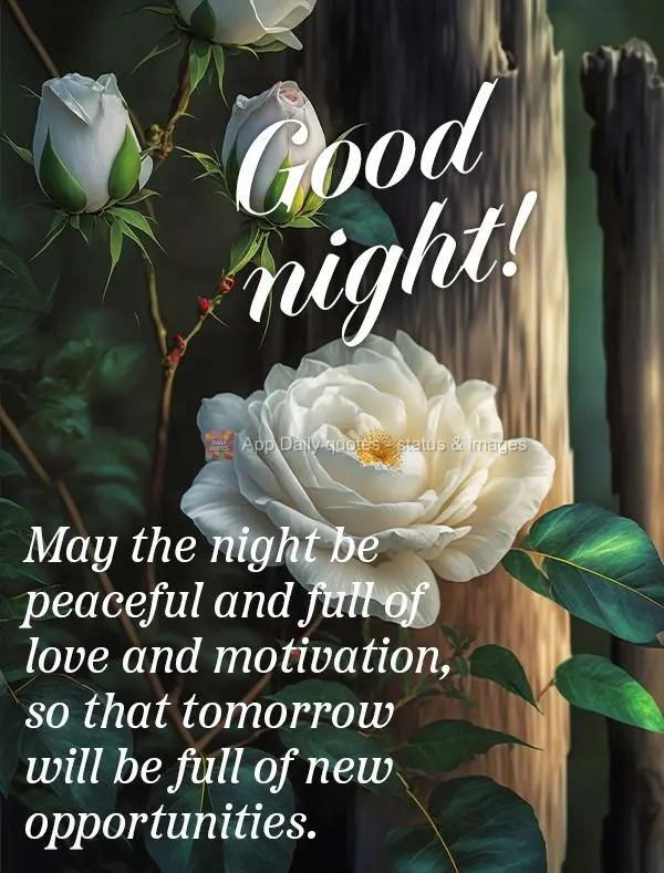 May the night be peaceful and full of love and motivation, so that tomorrow will be full of new opportunities. Good night!