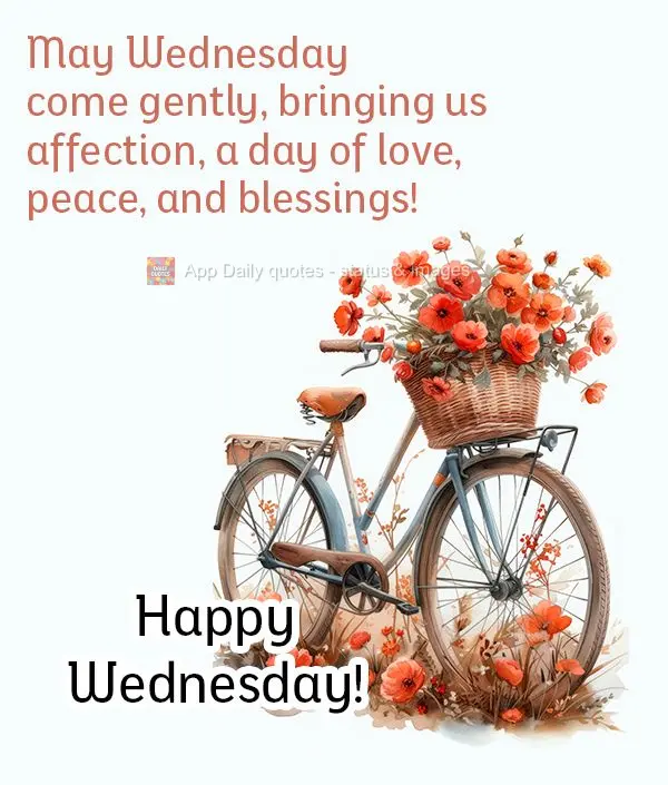 May Wednesday come gently, bringing us affection, a day of love, peace, and blessings! Happy Wednesday!
