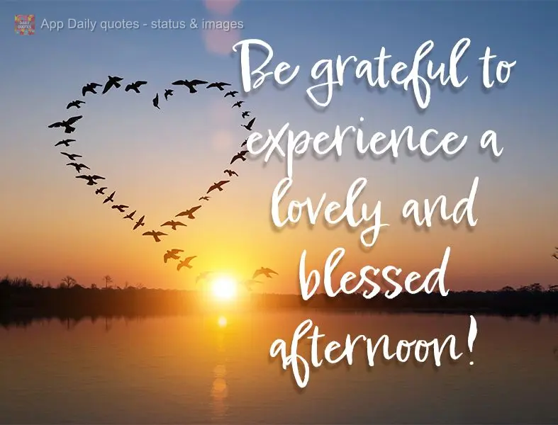 Be grateful to experience a lovely and blessed afternoon!