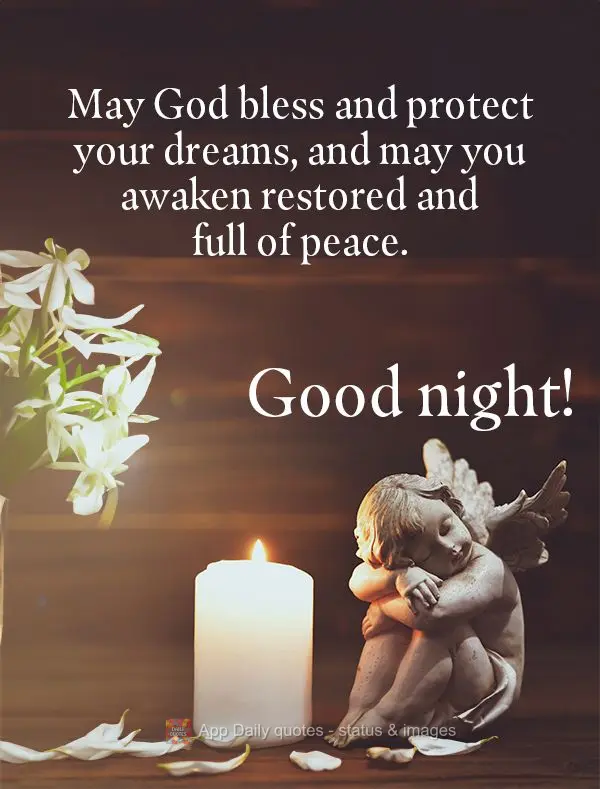 Que Deus abençoe e proteja o seu sono, e que você acorde renovado e cheio de paz. Boa noite!
