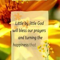 De pouco a pouco Deus vai abençoando nossa preces e tornando felicidade que o coração tanto almeja em rotina diária. Bom dia!