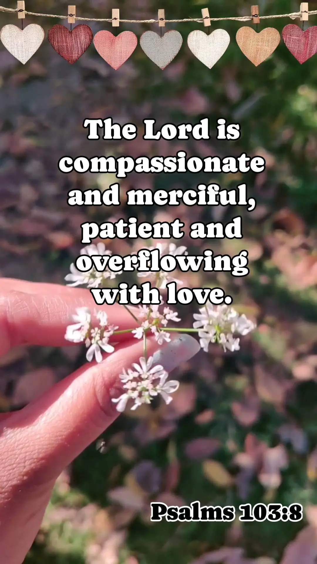 O Senhor é compassivo e misericordioso, paciente e transbordante de amor.  Salmos 103:8